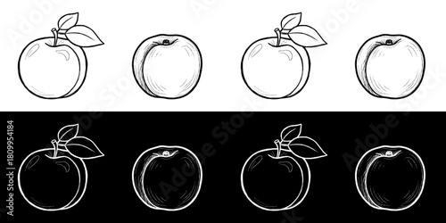 Sketches of apricots with leaves, seamless border, image set, isolated vector image, two versions on transparent and black backgrounds, pencil drawing, chalk drawing