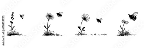 Bees And Flowers Doodle Sketch Set. Pollination And Nature'S Harmony In Hand Drawn Style Collection. Illustrates Ecosystem Balance And Biodiversity. Hand Drawn Isolated Vector Illustration
