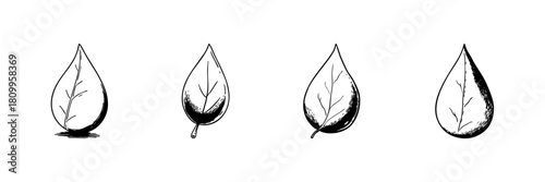 Leaf Doodle Sketch Set. Nature, Growth, And Botanical Elements In Hand Drawn Style Collection. Eco-Friendly And Organic Design. Isolated Vector Illustration