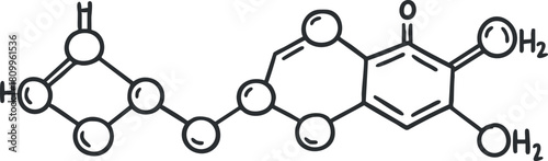 Detailed line art vector illustration of a chemical molecule structure for educational and scientific purposes