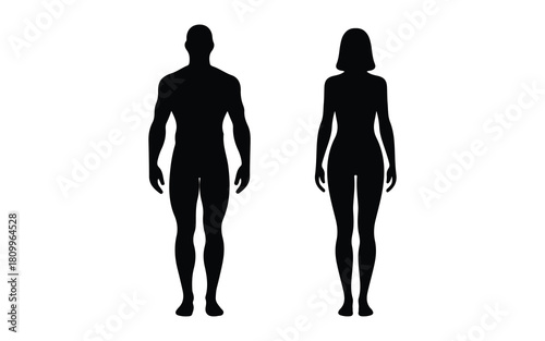 Male and female human body silhouettes standing, full length