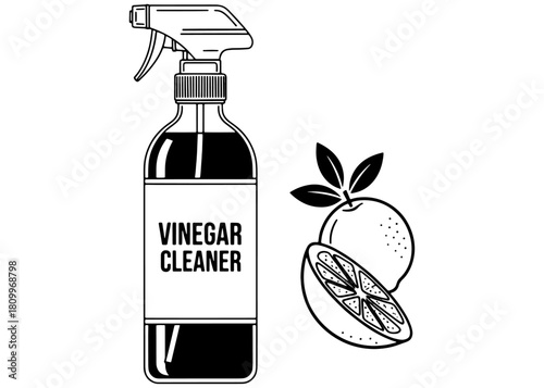  Natural vinegar cleaner spray bottle with lemon. Eco-friendly homemade household cleaning solution. Black and white line art vector illustration.