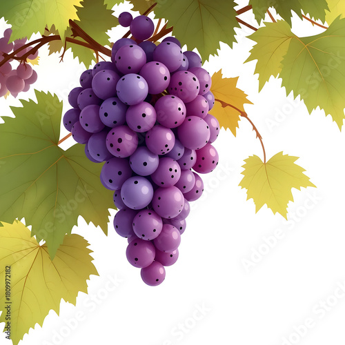 A bunch of purple grapes hanging from a vine