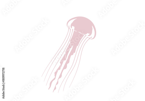 Elegant Pink Jellyfish Illustration: A Delicate Marine Creature.