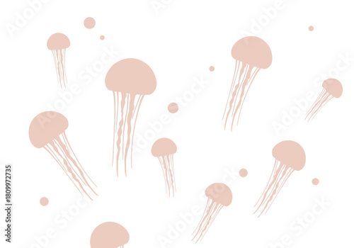 Jellyfish swimming in the ocean.