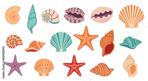 Colorful collection of various cartoon seashells and starfish in different shapes and pastel colors for summer beach-themed designs.