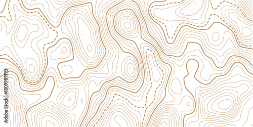 Seamless Light topographic topo contour map background, vector illustration .Mountain trail terrain or path. Vector illustration.