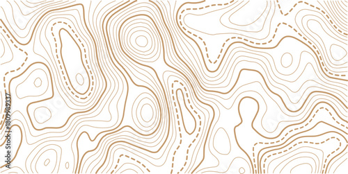 Topographic gold luxury map background. Geographic abstract pattern. The topo contour or wallpaper. The concept of a conditional geography scheme and contour line map image.