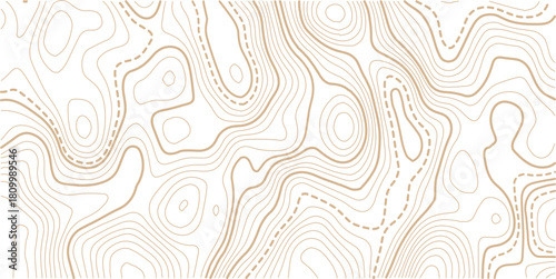 Topographic gold luxury map background. Geographic abstract pattern. The topo contour or wallpaper. The concept of a conditional geography scheme and contour line map image.