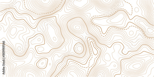 Topographic map contour background. Topo with elevation. The concept of a conditional geography scheme and contour line map image.Geographic mountain relief diagram line wave carve pattern.