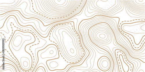 Abstract topo contour map on white background, Topographic map Topographic contour lines map seamless pattern.Vintage outdoors style wallpaper. 