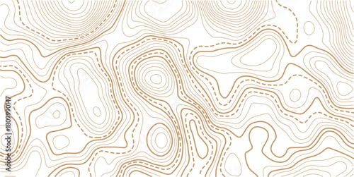 Topographic gold luxury map background. Geographic abstract pattern. The topo contour or wallpaper. The concept of a conditional geography scheme and contour line map image.