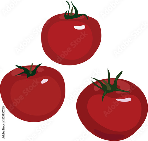 Big ripe red tomato fruits isolated on white background