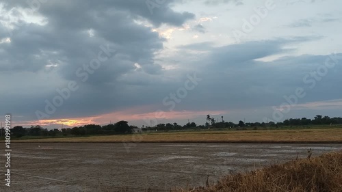 Scenic rural landscape featuring a golden field of wheat stretching toward the horizon under a blue summer sky with soft clouds and distant trees.