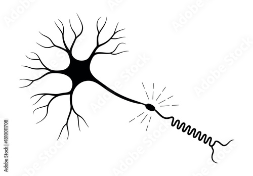 A detailed illustration of a human neuron with a signal transmitting along its axon.