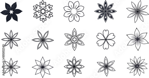 Collection of hand drawn floral vector illustrations for design projects
