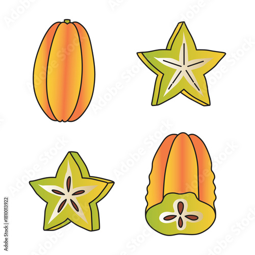 Vector illustration of star fruit