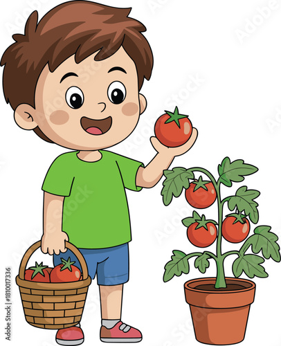 Happy child harvesting tomatoes, gardening activity, healthy eating, homegrown vegetables, cartoon illustration, agriculture education, potted plant, smiling kid, summer garden