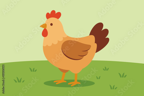 Lone Chicken on Grass. Lone chicken standing on vibrant green grass, soft natural lighting, minimalistic and vector illustration