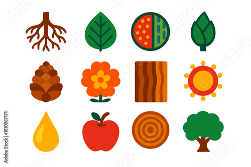 Tree Biology Icons. Flat vector icons of tree biology: root system diagram, leaf vein structure, xylem and phloem, tree bud, seed