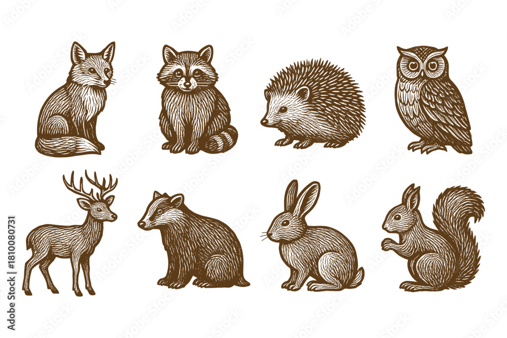 Fototapeta premium Detailed woodland creatures in vintage hand drawn style