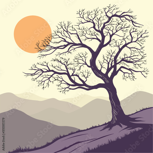 Bare tree on a hill with mountains and sun in the background