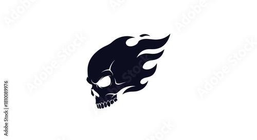 Dark skull enveloped in flames on a white background, suggesting danger or defiance