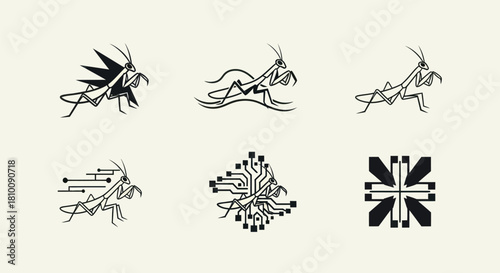 Six insect illustrations are presented, each stylized, in black on a cream background