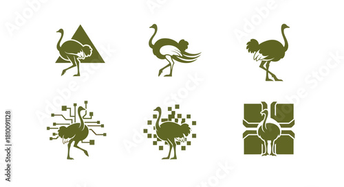 Six minimalist illustrations of ostriches in various stylized designs, olive-green on white