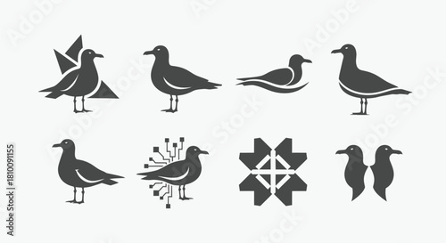 Eight stylized silhouettes of seagulls in different poses, some geometric & tech-inspired