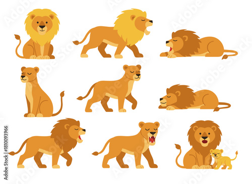 A collection of lions, a lioness, and their cub shown in various poses—resting, lying, standing, roaring, sitting, and walking—in a colorful flat vector illustration against a white background