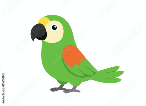A cute, funny Amazona parrot with green jungle feathers, walking with folded wings, depicted as a flat vector illustration on a white background