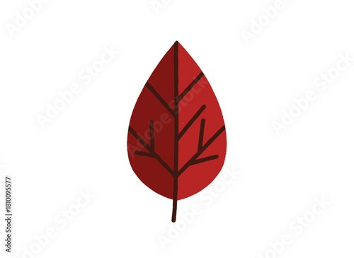 A maple leaf, a hallmark of autumn foliage, serves as a seasonal botanical design element for forest decoration and herbarium use, presented as a flat vector illustration on a white background