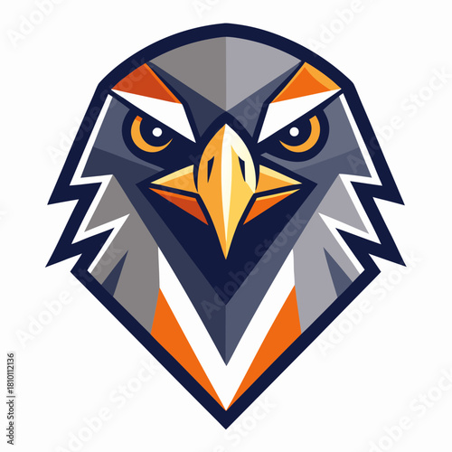 Aggressive geometric bird of prey head mascot logo Vector, illustration