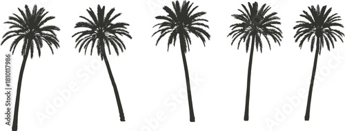 Tropical palm tree silhouettes standing in a row, isolated exotic tree shapes for summer design, beach landscape, travel theme, flat vector illustration