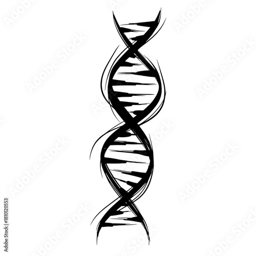 Illustration of a DNA double helix on white background for genetic science concepts