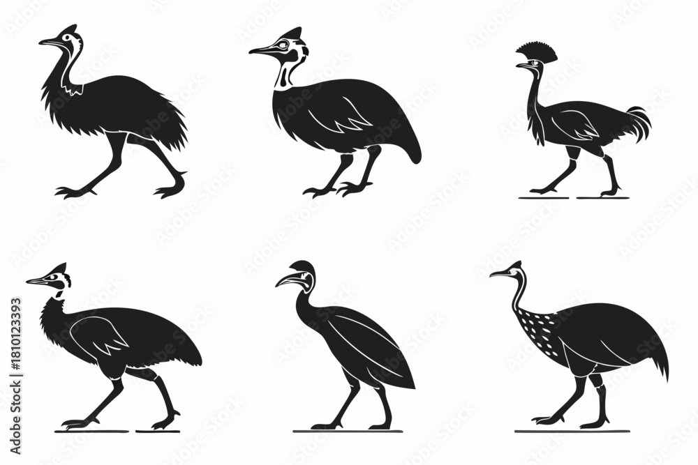 Fototapeta premium Minimalist cassowary bird icon set with vibrant color accents