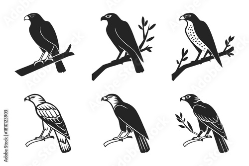 Set of 8 minimalist hawk icons in black and yellow