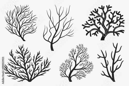 Collection of 8 minimalist coral branch and sea life icons