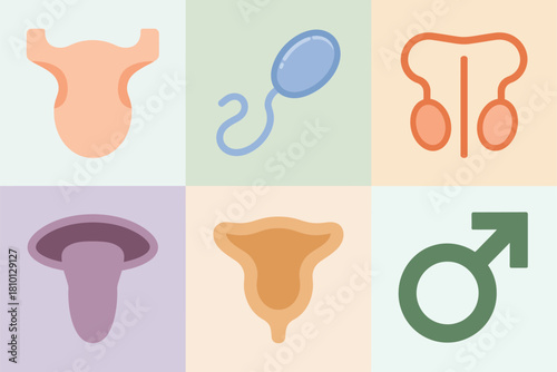Reproductive anatomy grid, uterus and cervix icons, sperm cell, male organs symbol, gender sign, wellness education visuals