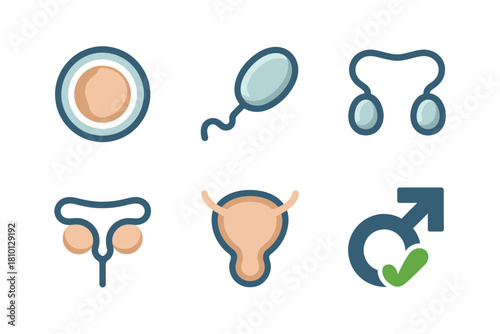 Fertility diagnostics set, ovum with sperm, stethoscope symbol, prostate icon, bladder outline, vasectomy arrow, medical care