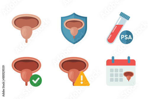 Urology diagnosis elements, prostate gland icon, shield defense, psa sample, bladder icon, check mark, caution, calendar, vector
