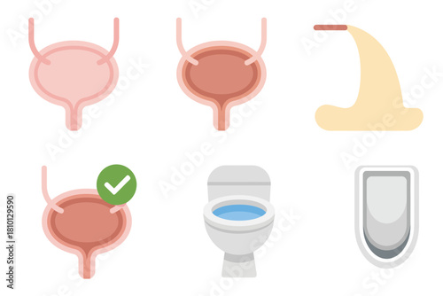 Urinary system icons, bladder anatomy, restroom toilet bowl, urinal device, check mark, health screening, hygiene concept, vector set