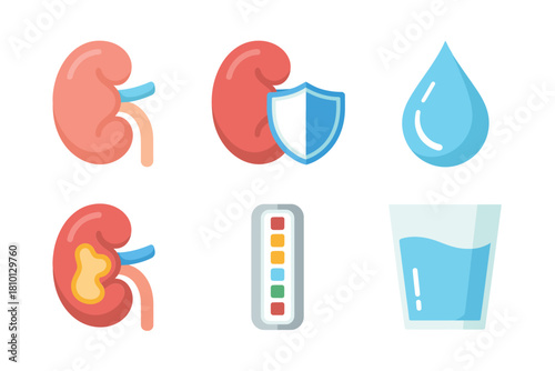 Renal care collection, kidneys with shield, hydration drop, urinalysis meter, drinking water glass, medical infographic elements vector