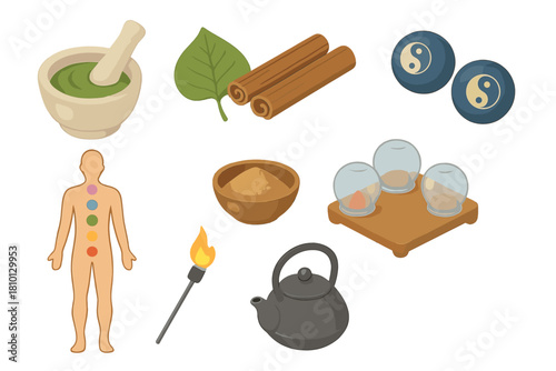 Traditional Medicine Components. Isometric vector illustration set of Traditional medicine: ayurvedic mortar, cinnamon sticks,