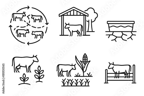 Desert Livestock Management Icons. Line style icons of desert livestock management: rotational grazing plan, shaded animal shelter
