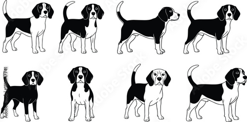 beagle, dog, pet, animal, breed, black, white, silhouette, posture, standing, sitting, walking, tail, ears, profile, cartoon, illustration, design, template, expressive