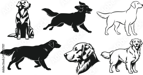 Golden Retriever, dog, pet, animal, breed, black, white, sketch, outline, posture, sitting, standing, running, walking, head, profile, expression, illustration, design, template