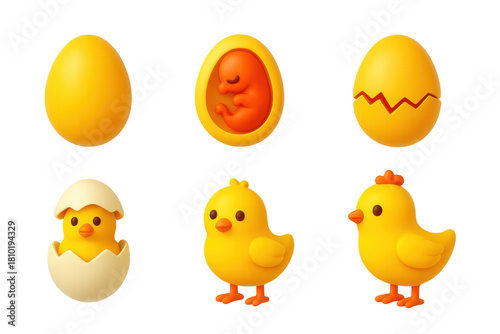 Egg Development Icons. 3D icon set of egg development stages: freshly laid egg, embryo stage, cracking shell, hatchling, fledgling