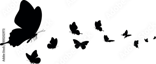 Black butterfly silhouette flying in a group on a white background